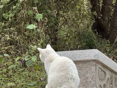 -北京凤凰岭