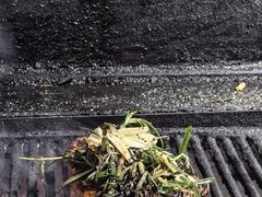 -安立可意大利美食