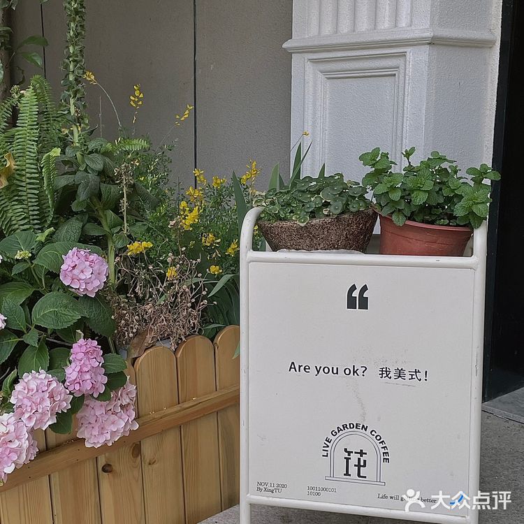 筑花园网红宝藏咖啡店[加油]