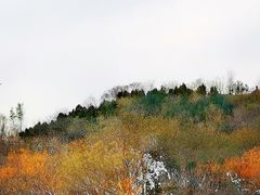 -南翠屏公园