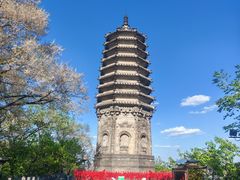-高尔山公园