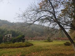 -棒棰岛宾馆景区