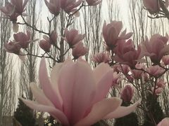 -首都师范大学(良乡校区)