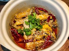 有故事的椒麻鸡-周家二小姐的菜(西津渡店)