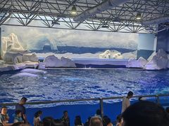 -秦皇岛乐岛海洋王国