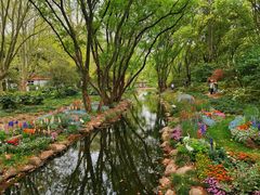 -上海共青森林公园