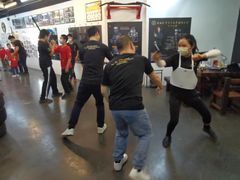 -温鉴良实用咏春拳