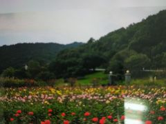 -龙寺生态园