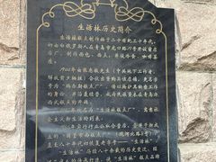 -生活林(河北路店)