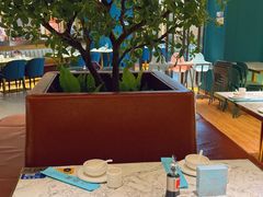 -悦海·家宴·冰花皮皮虾大锅贴(宝龙店)
