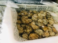 -明海妈妈菜(大连外国语学院店)