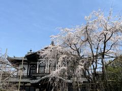 -奈良公园