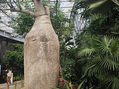 -北京植物园-展览温室