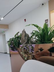 -上海伊莱美医疗美容医院