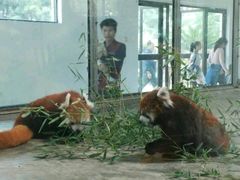 -西安秦岭野生动物园