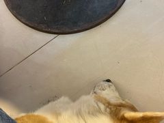-平行世界·猫咖(首经贸店)