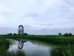 -苏州太湖湖滨国家湿地公园