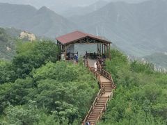 -大岭沟猕猴桃谷风景区