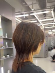 -东方麒麟·潘多拉SALON