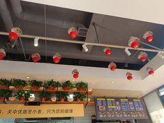 -宋益驴蹄子面肉夹馍(辛家庙店)