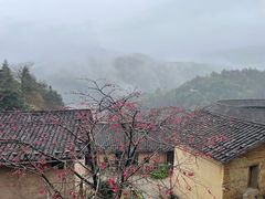 -南靖田螺坑土楼群景区