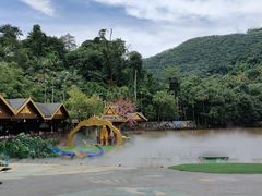 -西双版纳原始森林公园