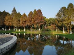 -厦门国家会计学院