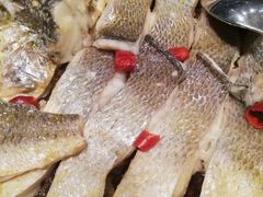 -马仕玖煲·融合菜·酥不腻烤鸭(人大店)