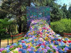 -上海共青森林公园