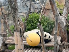 -青藏高原野生动物园
