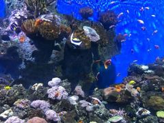 -日照世帆赛基地