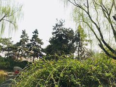 -西安青龙寺遗址景区