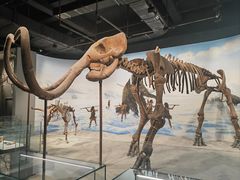 -辽宁古生物博物馆