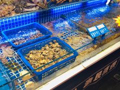 -必点海鲜·鲅鱼水饺(鞍山西道店)