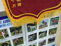 -宠颐生宠物医院外科·内科·皮肤科·影像科(石龙店)