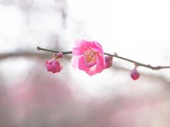-南湖湿地公园