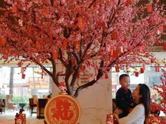 -中山利和希尔顿酒店