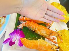 -光海鲜鱼翅餐厅(叻差拉披色路店)