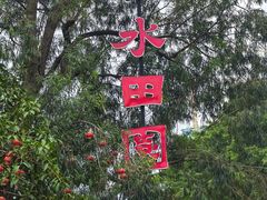 -观澜山水田园