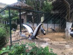 -大连森林动物园