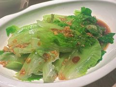 -佬肥猫(七宝宝龙店)