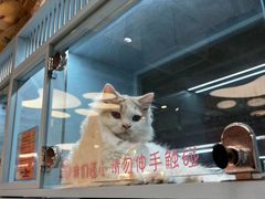-FAELING PETS美天灵宠物(合生汇店)