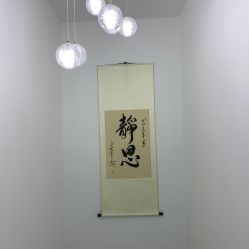 -北京丽星翼美医疗美容