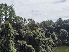 -保利石象湖景区