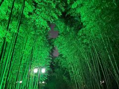 -苏州环秀晓筑养生度假村