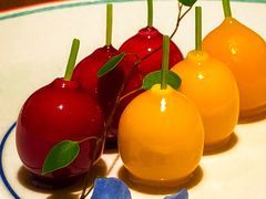 -红棉中餐厅·广州海航威斯汀酒店
