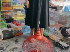 -宠爱我(南山店)