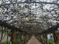-呀路古热带植物园