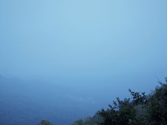 -东莞市大岭山森林公园
