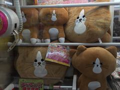 -秋叶原电器街